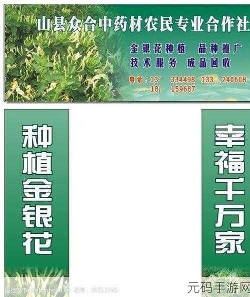 深度开发pop金银花免费软件：1. 深度开发POP金银花软件，助力智慧生活新体验
