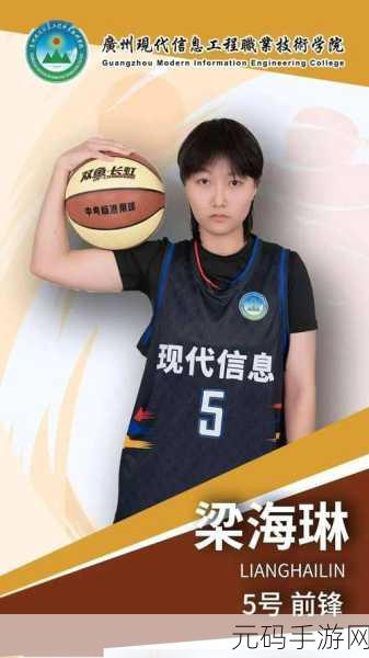 高中女篮比赛盛轮轩第二张:盛轮轩高中女篮赛:青春风采与团队精神的完美展现