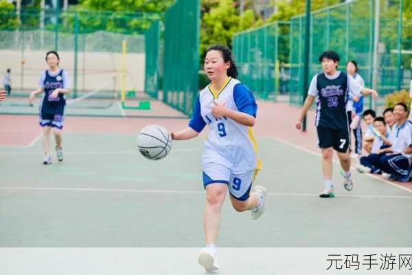 高中女篮比赛盛轮轩第二张:盛轮轩高中女篮赛:青春风采与团队精神的完美展现