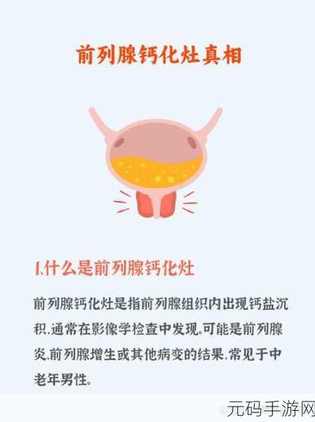 男男钙片:1. 男男钙片:提升男性健康的秘密武器
