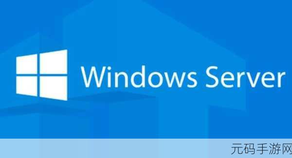 日本windowsserverVR：日本Windows Server VR技术在企业管理中的应用探索