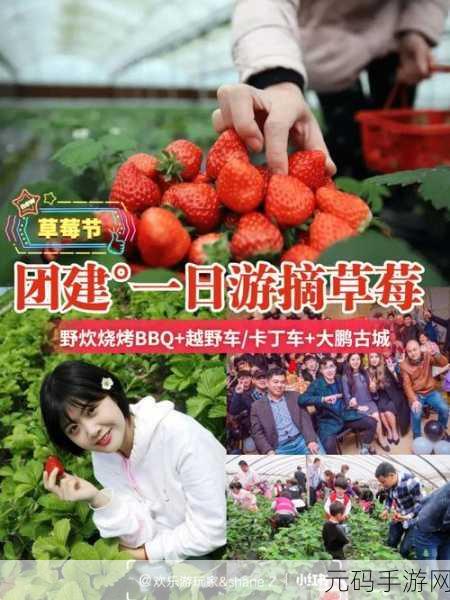 草莓无限观影次数在线观看:1. 《草莓无限:重温经典,畅享无尽观影之旅
