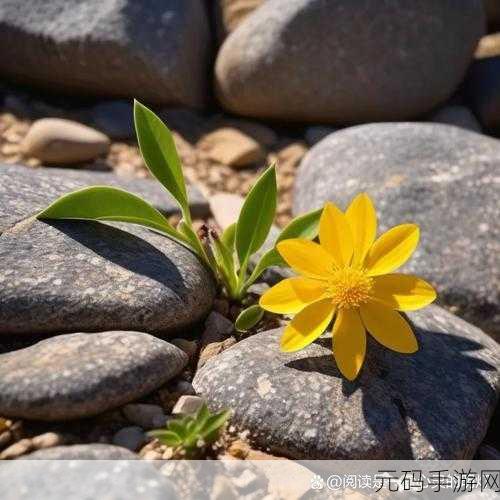 小草影视视频:当然可以!以下是一些基于小草影视主题的标题建议,每个都不少于10个字: