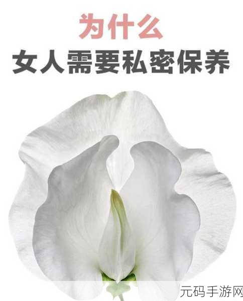 蜜桃皇后私密紧致:1. 蜜桃皇后:重拾青春的私密紧致体验