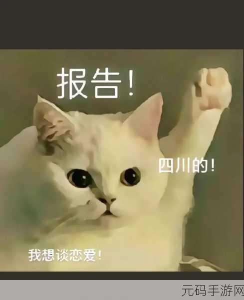 把前面的情侣撞开游戏风靡抖音,单身狗的欢乐冲撞之旅