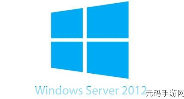 日本Windows Server中文支持：提升企业效率：深入探讨日本Windows Server在中文环境中的应用与支持