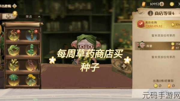 哈利波特魔法觉醒，隆巴顿教授宝贝草药拼图全揭秘