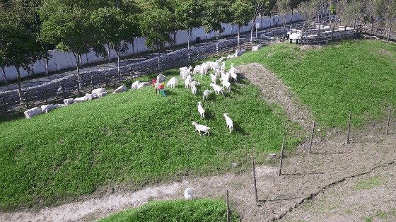 开心农场,热带度假无限钻石版震撼来袭,打造梦幻农场新体验