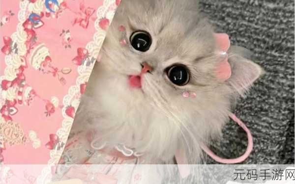 萌力全开！猫咪的毛汉化版温馨上线，打造你的超萌云养猫日常