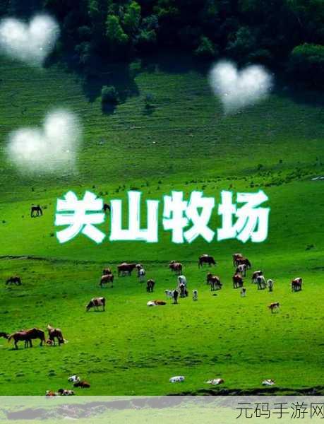 ZoomkooL牧场视频精彩集锦：1. ＂探索ZoomkooL牧场：精彩瞬间与欢乐时光