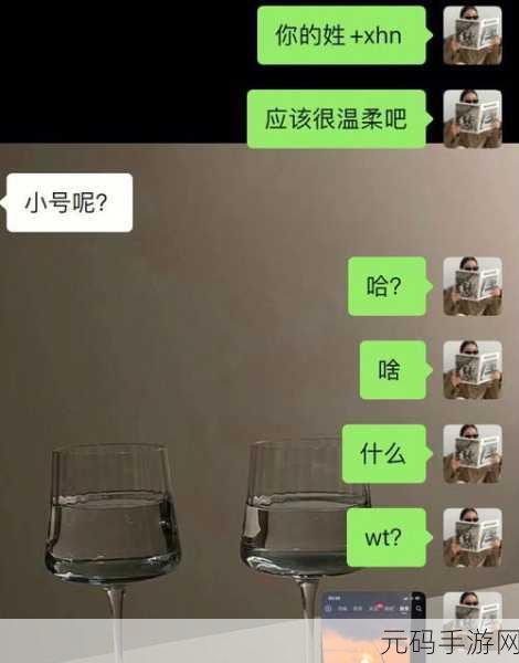 X姓女rapper的出处和历史背景：1. ＂X姓女Rapper：从地下到主流的崛起之路