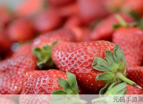黄草莓视频：1. 黄草莓视频：探索夏日清新与甜蜜的绝妙结合