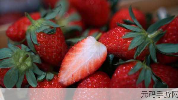黄草莓视频：1. 黄草莓视频：探索夏日清新与甜蜜的绝妙结合