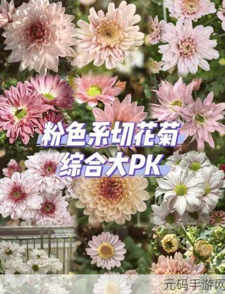 答错一题菊花放一支笔简隋英:答错一题,菊花放笔的奇妙启示