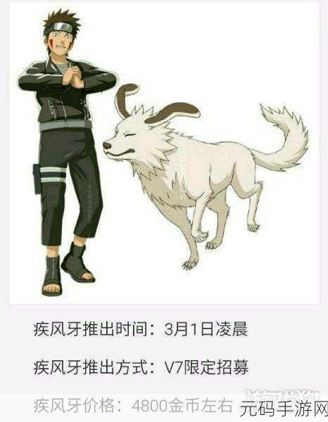 火影忍者手游，犬冢花技能深度解析与实战运用