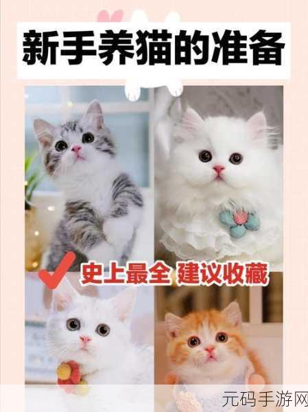 幽灵猫奴风靡全网,萌宠养成新体验等你来探索!