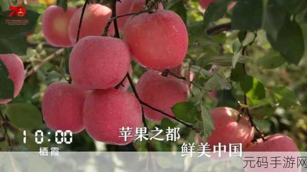 精品产99：1. ＂探索精品产99的独特魅力与价值