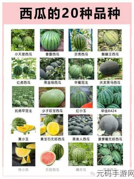 51cgfun今日吃瓜必吃防:当然可以,以下是一些与“今日吃瓜”相关的扩展标题建议: