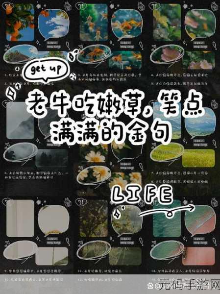老牛嫩草一三产品是杂牌子吗:1. 老牛嫩草一三产品:品牌认知与市场定位分析
