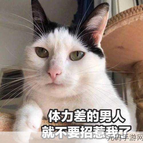 www.污软件：当然可以！以下是一些基于“污软件”主题的新