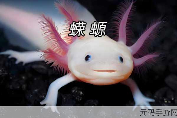 萌宠治愈新选择，探索治愈的蝾螈日系休闲育成之旅