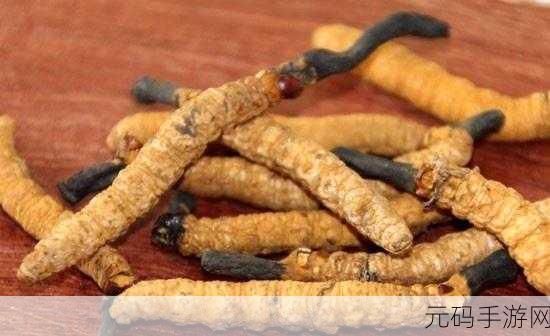 97国产精品一二三产区区别小说：1. 不同产区的秘密：从一到三的故事