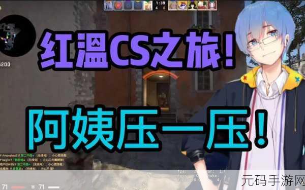 暴躁老阿姨csgo图片高清：1. ＂暴躁老阿姨：CSGO中的战斗女神