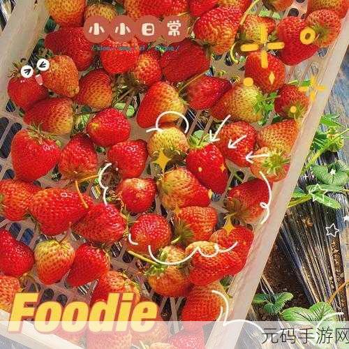 草莓视频看片:1. 探索草莓视频中的高清影视新世界