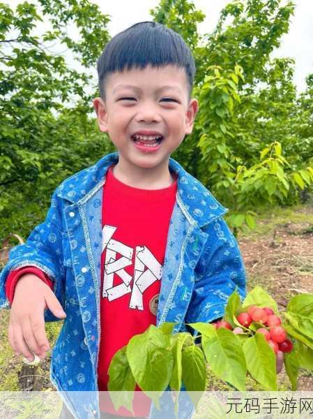 樱桃视频免费看：1. 樱桃视频：探索无限精彩的视听盛宴