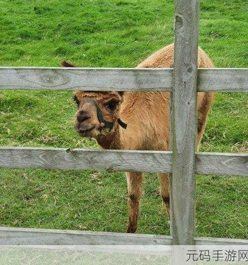 reanimal：以下是根据“reanimal”拓展出的新标题，字数不少于10个字：