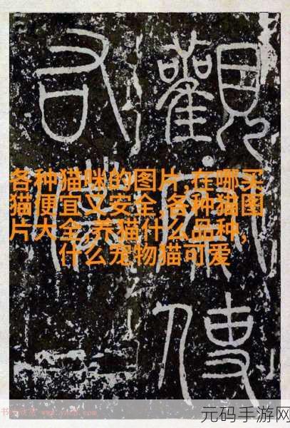 md豆传媒一二三区：1. “探索md豆传媒新视角：一二三区的魅力与故事”