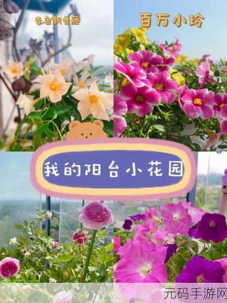 怎么亲小花园的图片：1. 小花园中的四季变幻与自然之美