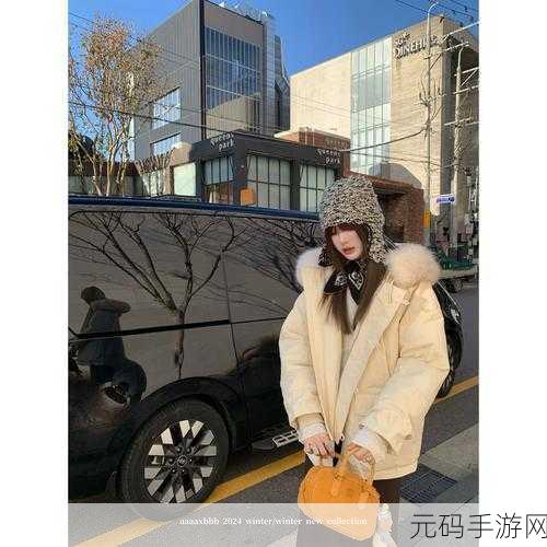 AAAA级毛皮和普通版对比:提升毛皮品质:AAAA级与普通版的全面对比分析