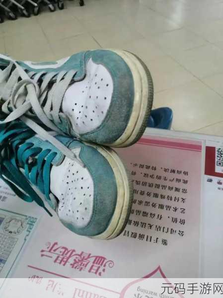 AAAA级毛皮和普通版对比:提升毛皮品质:AAAA级与普通版的全面对比分析