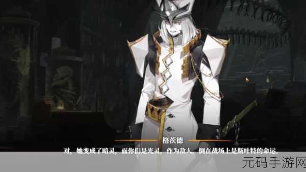 白夜极光调中文设置详细指南，轻松畅玩无阻碍