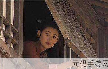 国产精品久久久久久久潘金莲：1. 潘金莲：揭露古代女性的抗争与命运