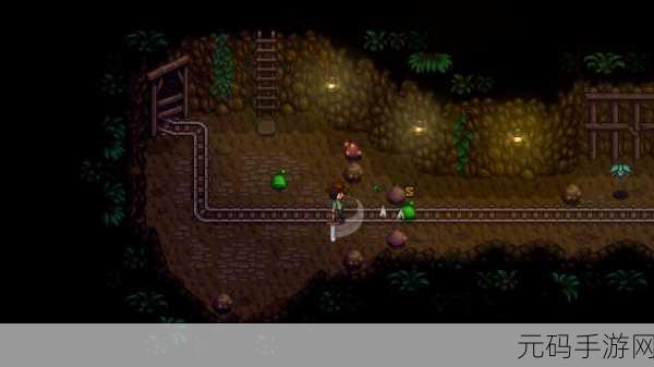 星露谷物语switch更新：星露谷物语：梦想庄园与神秘冒险