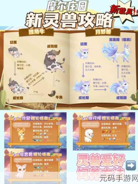 摩尔庄园手游,探寻灵兽食谱的神秘获取之道