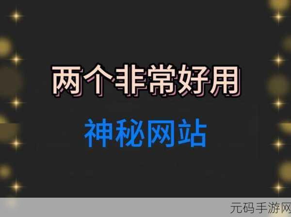 神秘网站:1. 揭秘神秘网站背后的隐秘故事与真相