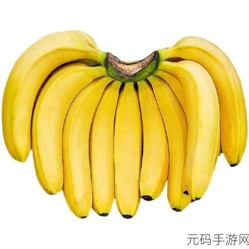 成品大香蕉煮小辣椒的产地：1. ＂探索成品大香蕉与小辣椒的独特产地