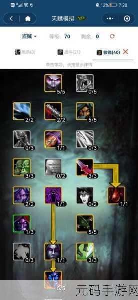 魔兽世界335pve盗贼输出：魔兽世界335版本：盗贼高效输出与技能搭配解析