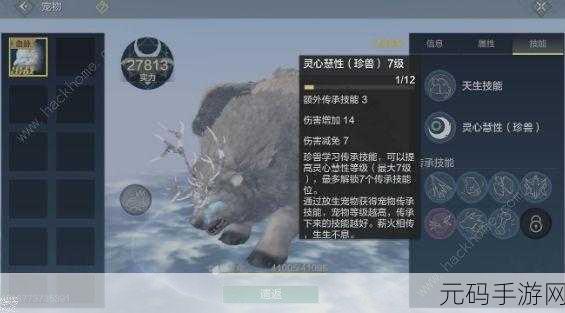 妄想山海宠物top榜：1. 妄想山海宠物排行榜：最强搭档推荐及育成技巧