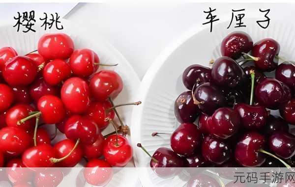 樱桃小视频:1. 樱桃小视频:探索生活中的美好瞬间