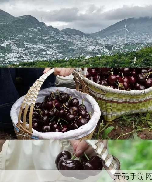 樱桃小视频:1. 樱桃小视频:探索生活中的美好瞬间