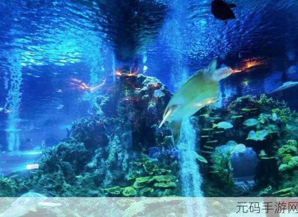海洋派对比赛焕新上线,畅享海洋主题的消除盛宴