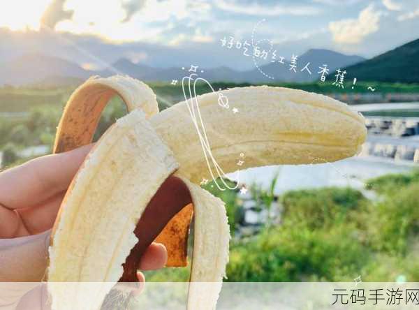 香蕉视频先生：1. 香蕉视频先生：带你探索未知的影视世界