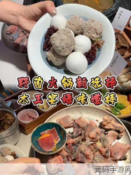 清娱乐及品盛宴:1. 清新娱乐盛宴:品味生活的新选择