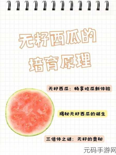51吃瓜致全体瓜友的一封信:1. 向全体瓜友致敬:共庆51吃瓜节的快乐