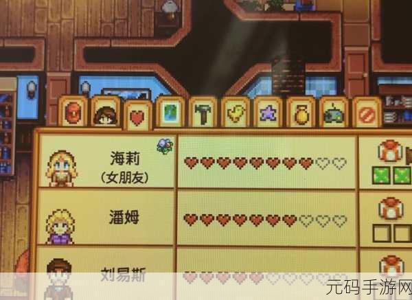 星露谷物语实用钩具大揭秘,哪款才是你的最佳之选?