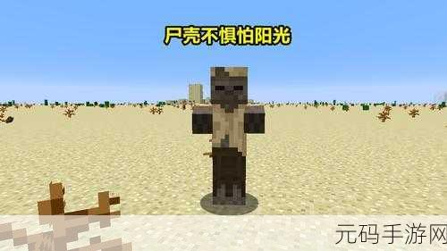 我的世界，僵尸堵门不再怕，巧妙应对有绝招